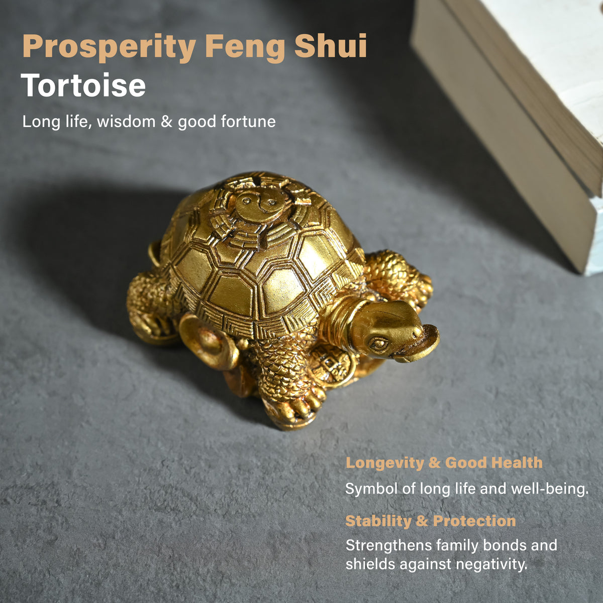 HindCraft Golden Tortoise Family Showpiece with Coin Design for Home, Office Desk & Vastu Décor